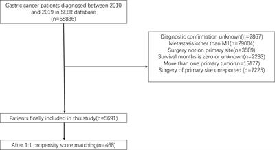 Survival benefits of palliative gastrectomy for gastric cancer patients with liver metastasis: a population-based propensity score–matched cohort analysis